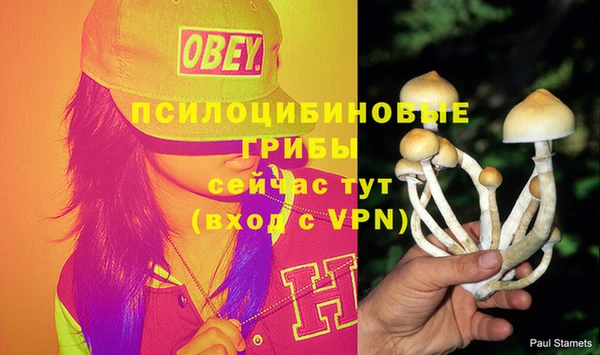 герыч Иноземцево
