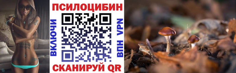 Псилоцибиновые грибы мухоморы  Купить закладки  Балтийск 
